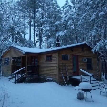 Rustic Quaint Cabin In The Woods--Pets Welcomed Dunnsville Exterior photo